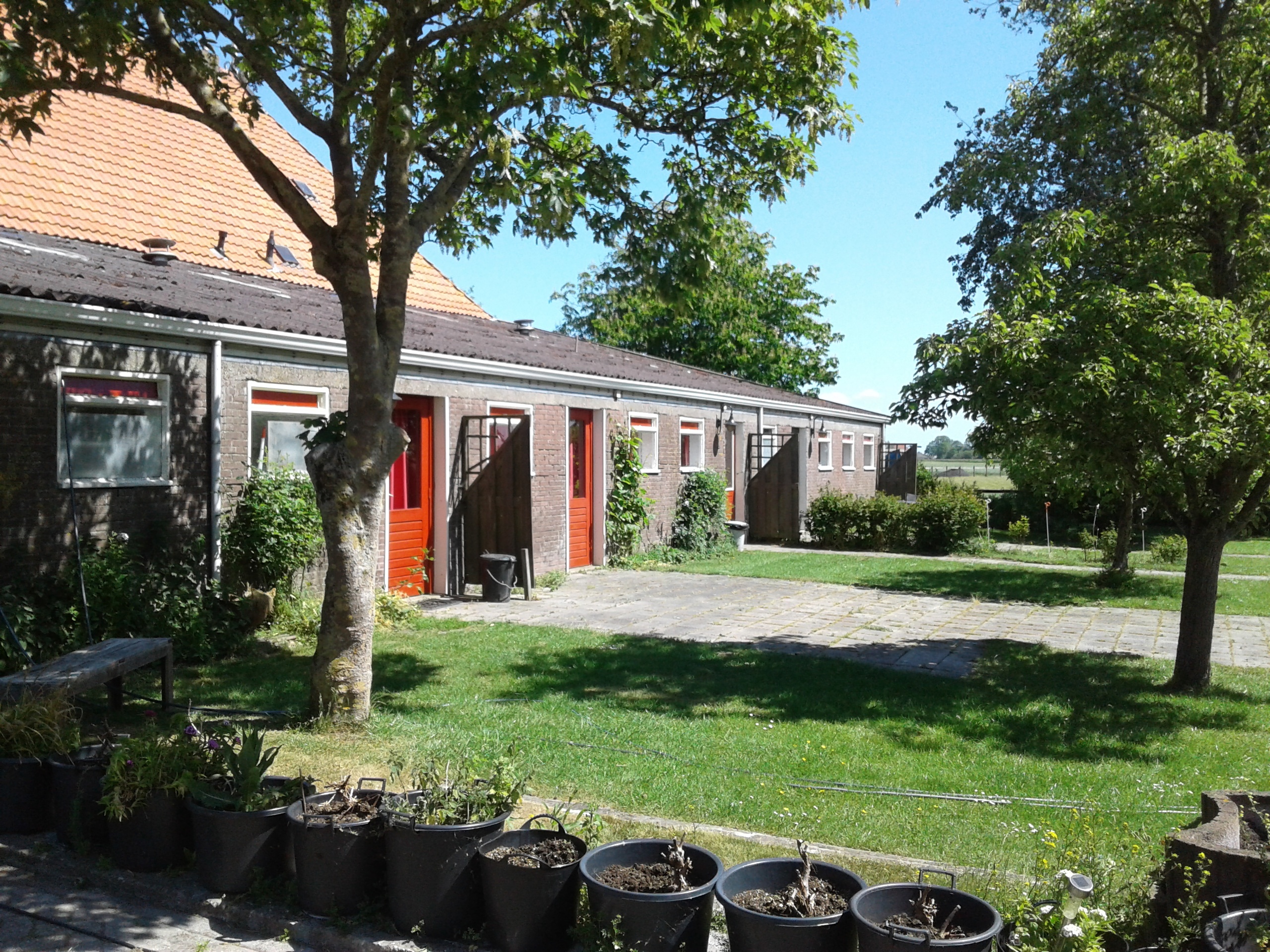 Nij Wybranda